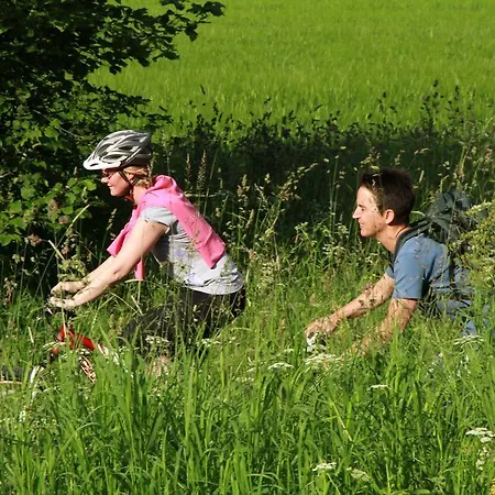 Landgasthof Zum Elsabauern بيت ضيافة