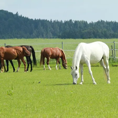 Landgasthof Zum Elsabauern Konigstein in der Oberpfalz